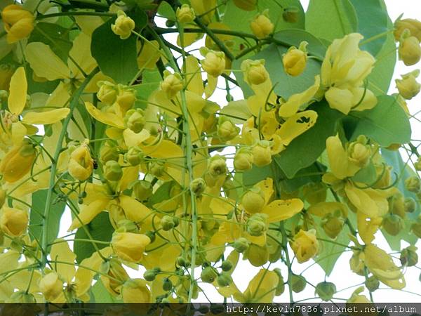 1462718455121.jpg 1462718455121.jpg