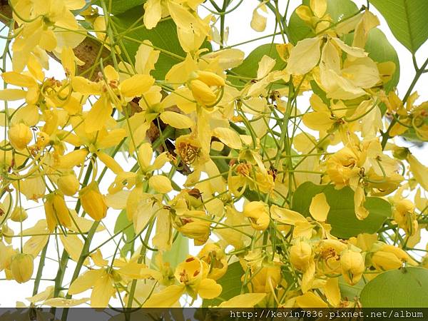 1462718431949.jpg 1462718431949.jpg