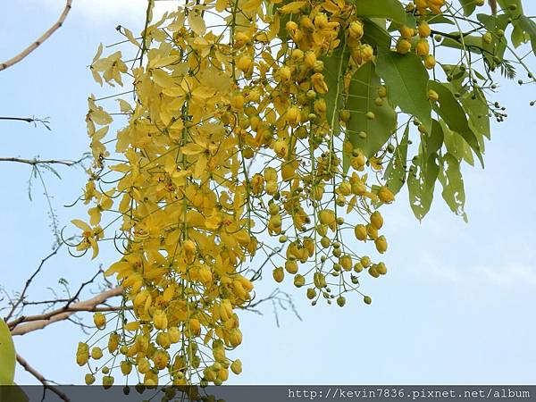 1462718428926.jpg 1462718428926.jpg