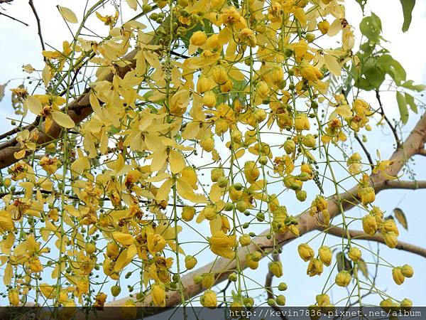 1462718425291.jpg 1462718425291.jpg