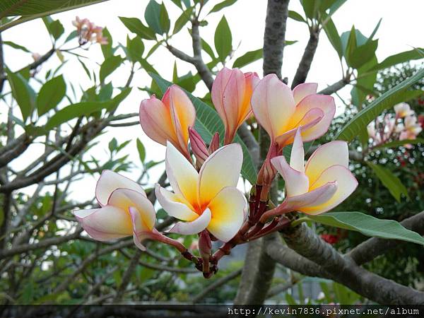 1462718417726.jpg 1462718417726.jpg