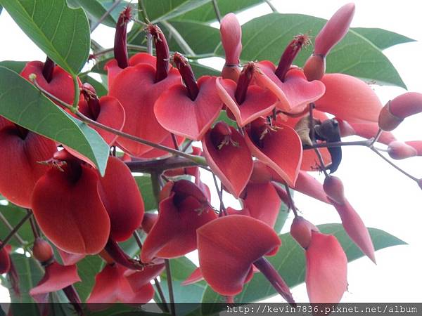 1462718411002.jpg 1462718411002.jpg