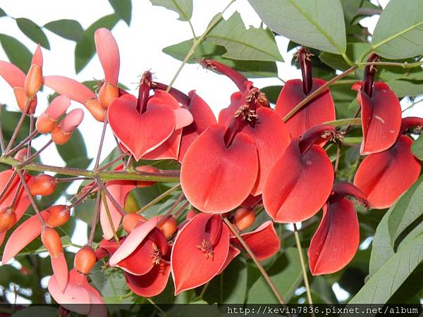 1462718414730.jpg 1462718414730.jpg