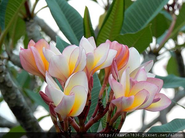 1462718408105.jpg 1462718408105.jpg