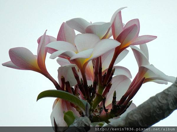 1462718405023.jpg 1462718405023.jpg