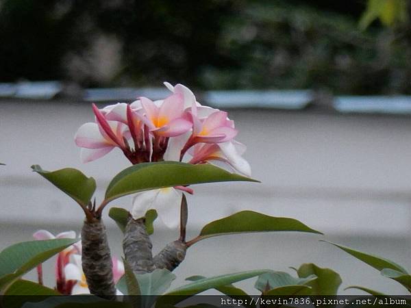 1462718399076.jpg 1462718399076.jpg