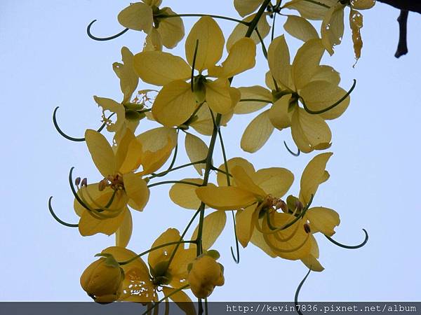 1462718366774.jpg 1462718366774.jpg