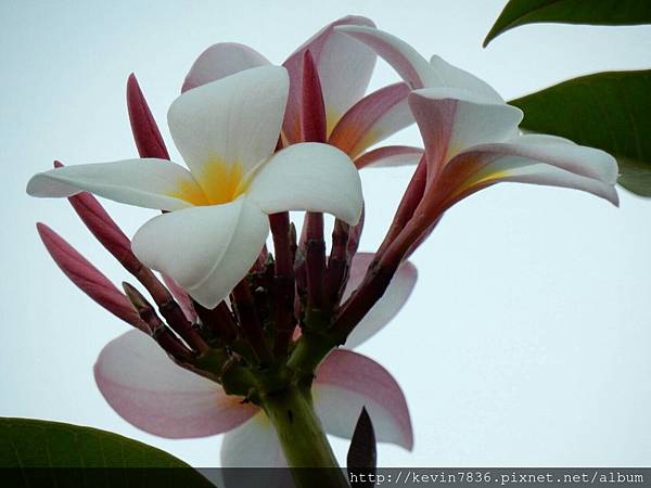 1462709380313.jpg 1462709380313.jpg