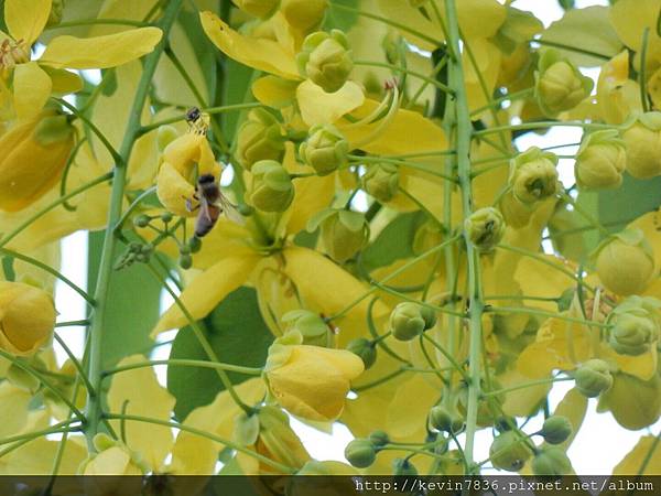 1462709225475.jpg 1462709225475.jpg