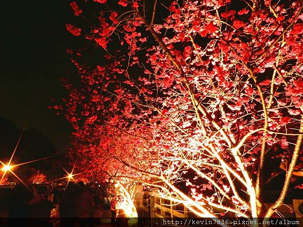 20170305_234058.jpg 20170305_234058.jpg