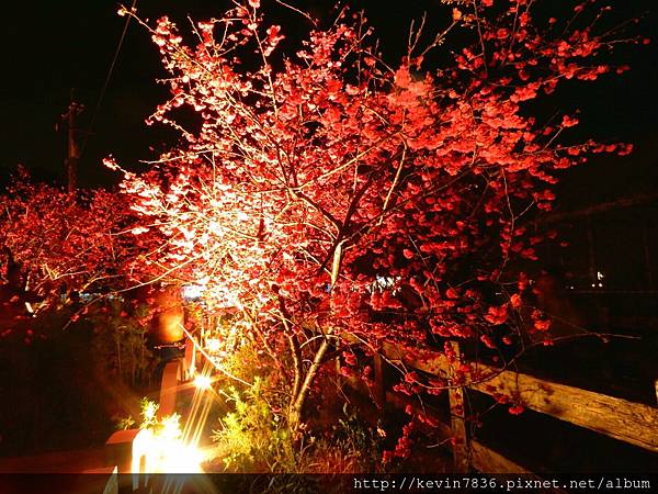 20170305_233555.jpg 20170305_233555.jpg