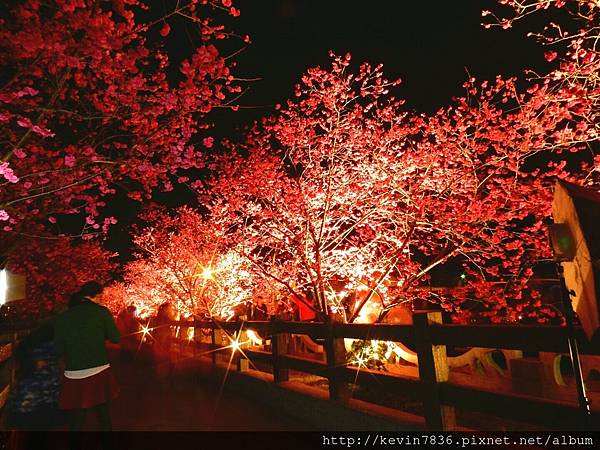 20170305_233000.jpg 20170305_233000.jpg