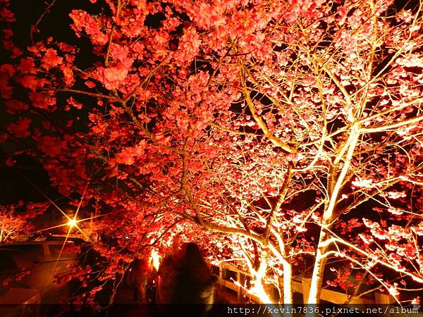 20170305_232849.jpg 20170305_232849.jpg