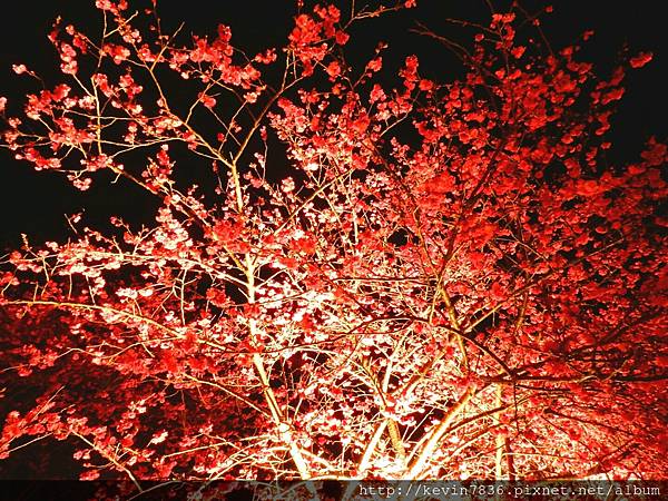 20170305_232634.jpg 20170305_232634.jpg