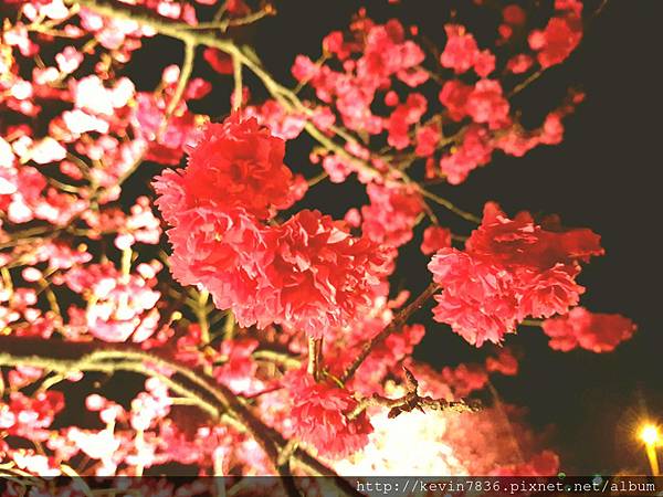 20170305_232302.jpg 20170305_232302.jpg