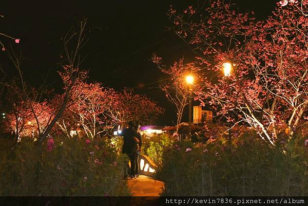 20170305_224652.jpg 20170305_224652.jpg