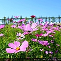 20170501_202556.jpg