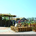 20170501_202747.jpg