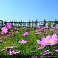 20170501_202620.jpg