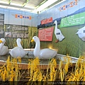 20170501_203416.jpg