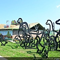 20170501_203523.jpg