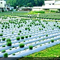 20170507_093140.jpg