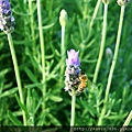 20170507_093859.jpg