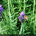 20170507_093810.jpg
