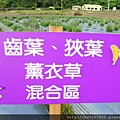 20170508_120641.jpg