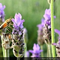 20170508_121434.jpg