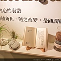 LRM_EXPORT_20180223_205903.jpg