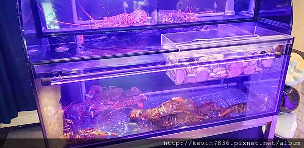 LRM_EXPORT_29893049991963_20190819_213538532.jpeg LRM_EXPORT_29893049991963_20190819_213538532.jpeg