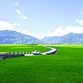 DSC05930.jpg