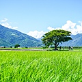 DSC05915.jpg