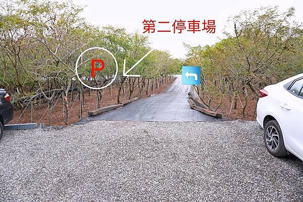 DSC08984-01.jpeg DSC08984-01.jpeg