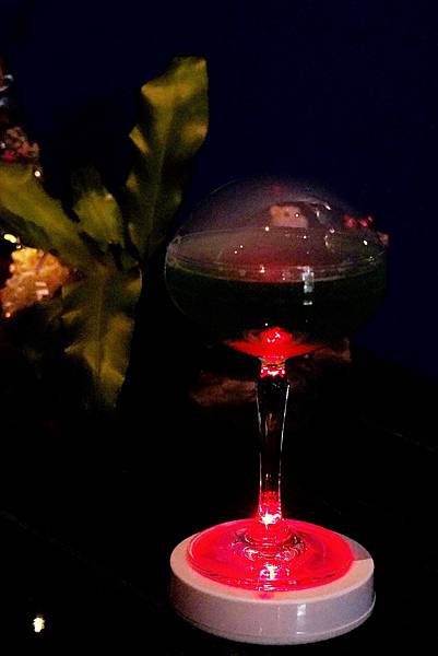 DSC07561-01.jpeg DSC07561-01.jpeg