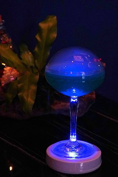 DSC07560-01.jpeg DSC07560-01.jpeg