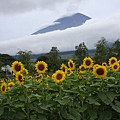 富士山下