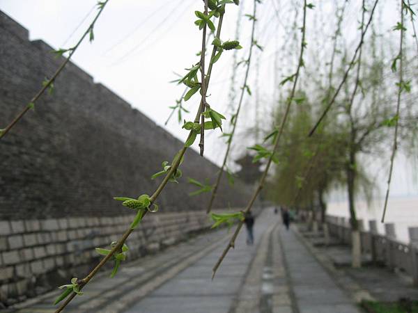 IMG_4453 IMG_4453