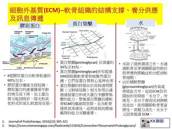 骨關節炎疾病的認識與治療15.jpg