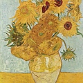 479px-Vincent_Willem_van_Gogh_128.jpg