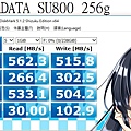 ADATA SU800 256g.jpg