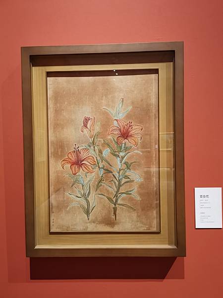 IMG_20201015_152924.jpg IMG_20201015_152924.jpg