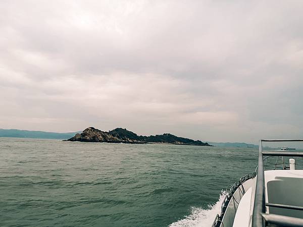 IMG_20201029_163504.jpg IMG_20201029_163504.jpg