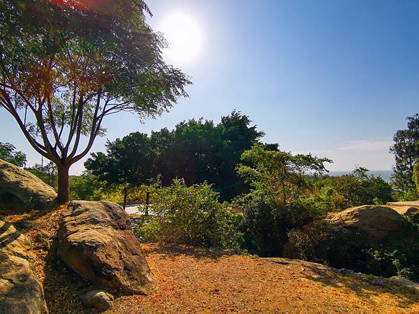 IMG_20201030_085218.jpg IMG_20201030_085218.jpg