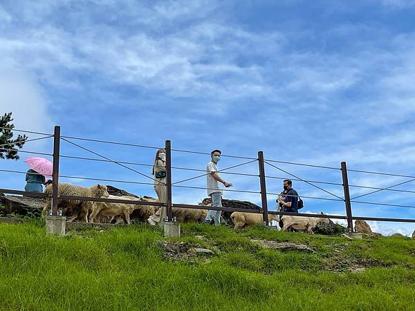 IMG_6700.JPG IMG_6700.JPG