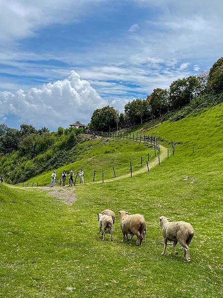 IMG_6704.jpg IMG_6704.jpg