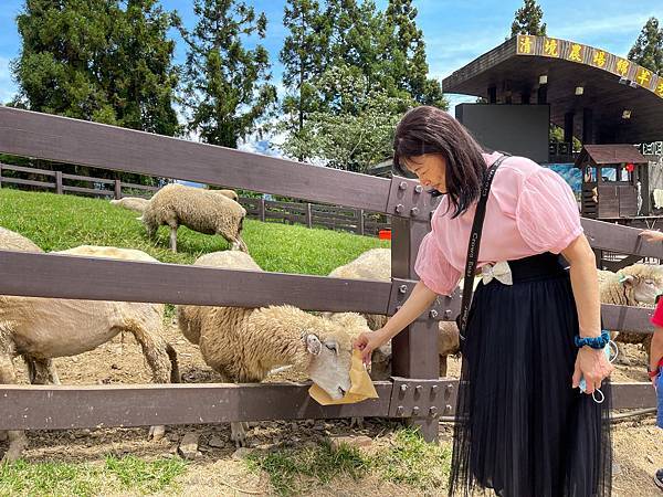 IMG_6739.JPG IMG_6739.JPG