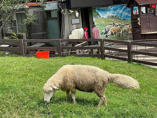 IMG_6734.JPG IMG_6734.JPG