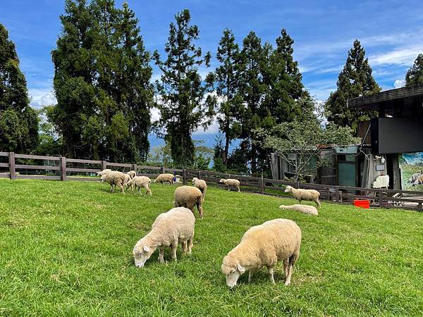 IMG_6743.JPG IMG_6743.JPG